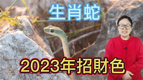 屬蛇幸運顏色2023|【2023屬蛇的幸運色】2023屬蛇的幸運色是什麼？避開忌諱色，。